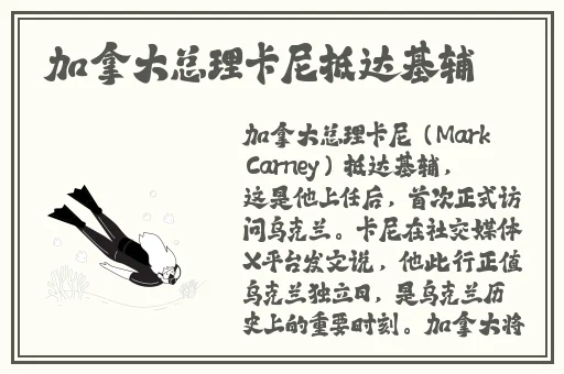 国产自偷亚洲精品页65页